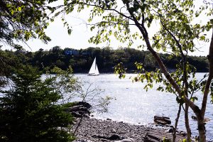 Point Pleasant parc Halifax