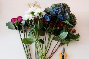 Lancement Bloom & Wild en France