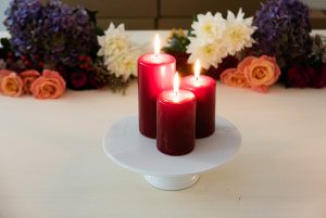 Lancement Bloom & Wild en France