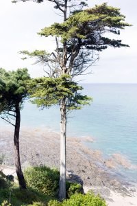 Maison DIOR Granville