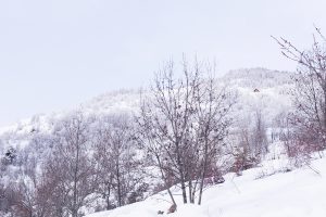Raquettes à neige à Freissinières