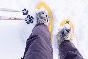 Raquettes à neige à Freissinières