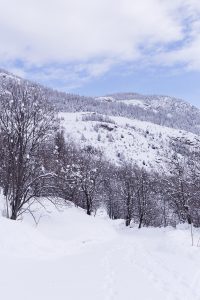 Raquettes à neige à Freissinières