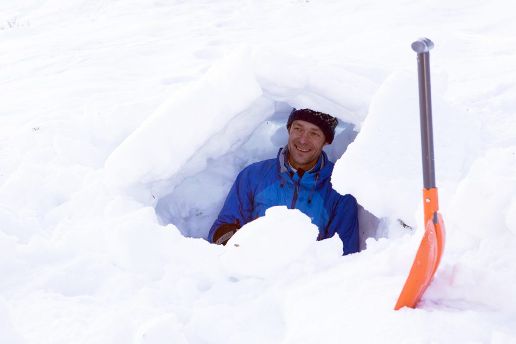 Boris Tourne mode survivor