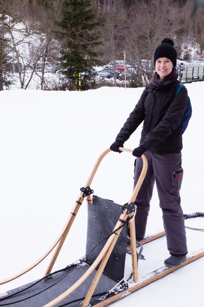 Conduite de traineaux