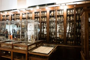 Musée François Tillequin Paris 6