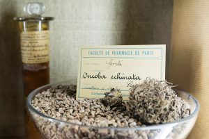 Musée François Tillequin Paris 6