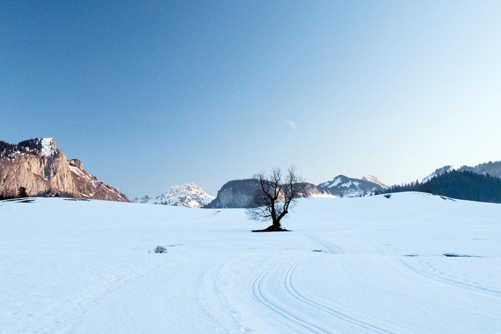 Fat Bike Plateau des Moises