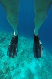 Snorkling safari Kuramathi Maldives