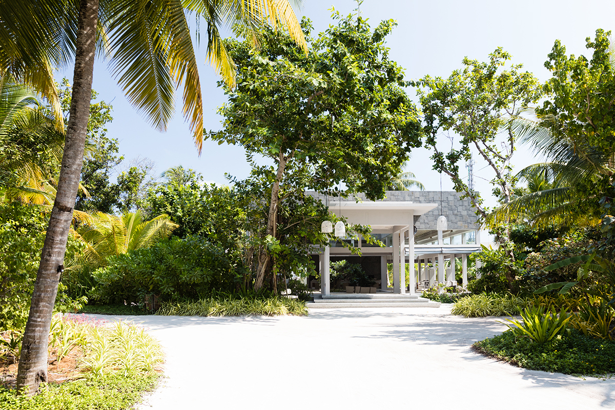 Dhigali Maldives réception