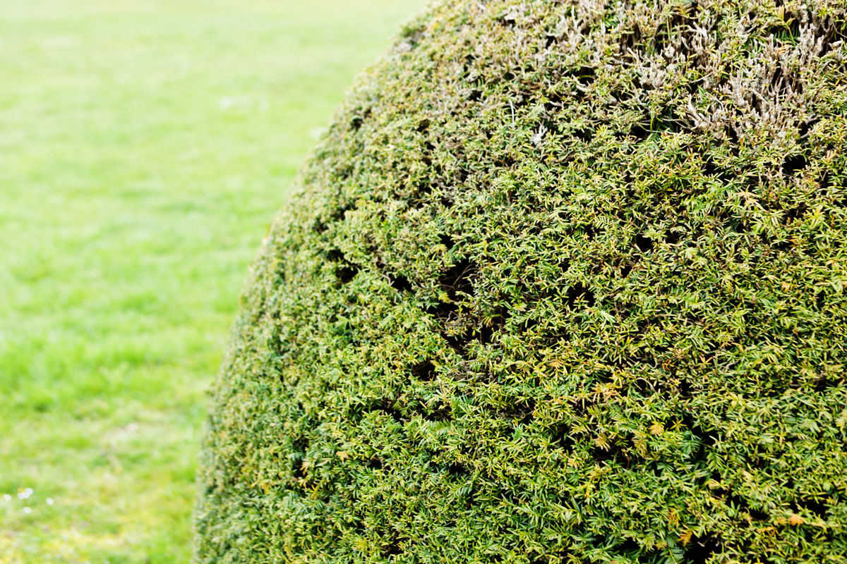 Château de Breteuil