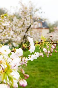 Château de Breteuil
