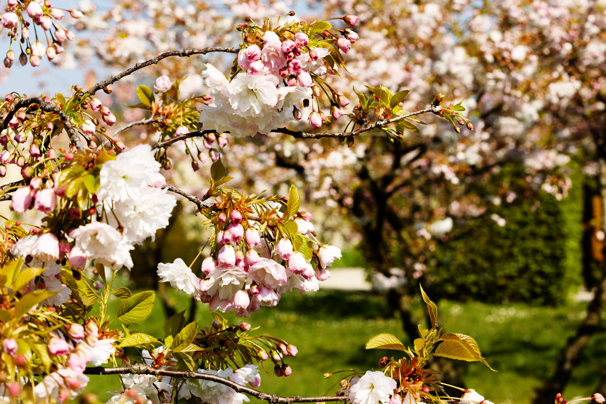 Château de Breteuil