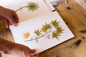 Invincible Eté Paris