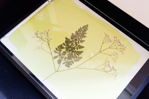 Invincible Eté Paris