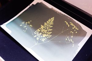 Invincible Eté Paris