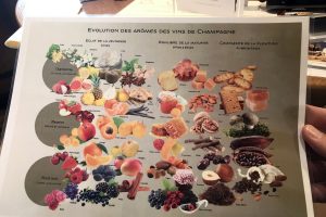 Maison champagne Aisne Fleury-Gilles