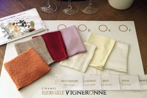 Maison champagne Aisne Fleury-Gilles