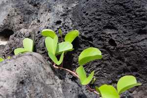 23 gestes pour aimer et protéger notre planète