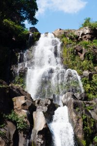 23 gestes pour aimer et protéger notre planète