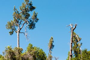 23 gestes pour aimer et protéger notre planète