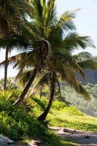 23 gestes pour aimer et protéger notre planète