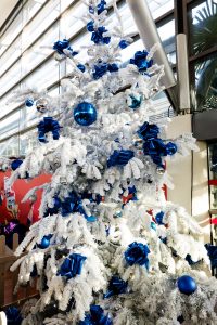 Vol du Père Noël Air Transat x Petits Princes