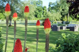 Manoir du Clap La Cerlangue