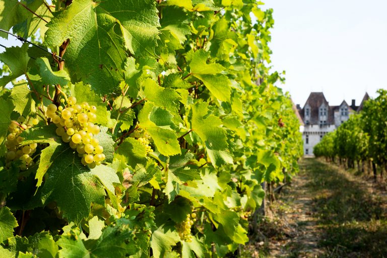 Château de Monbazillac