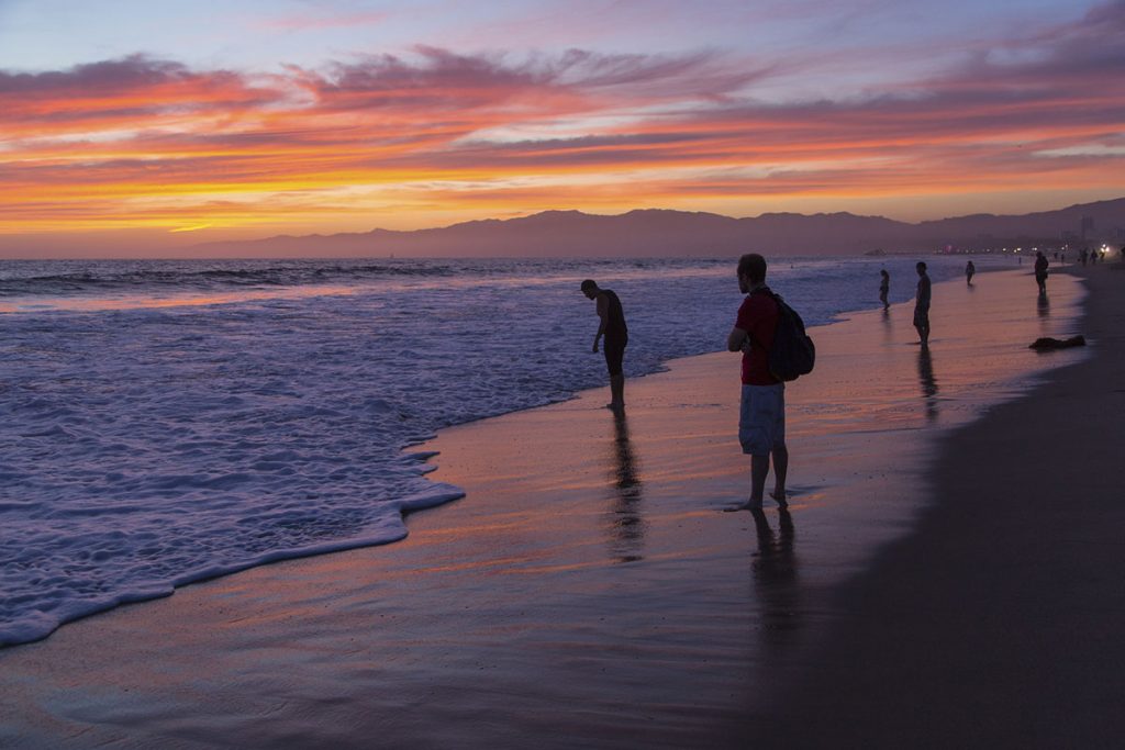 venice beach sunset