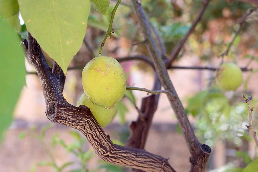 Produits Locaux bergerac