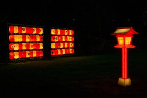 Japon en Lumières