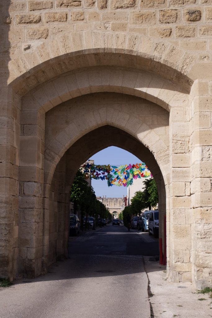 Camargue Aigues-Mortes