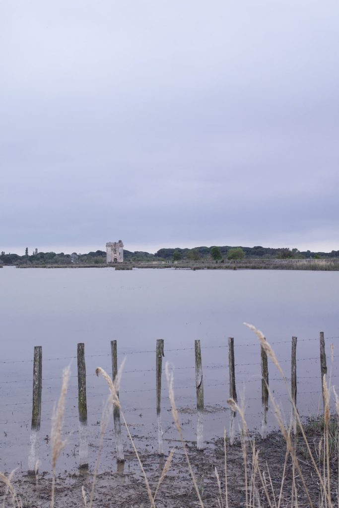 Camargue Tour Carbonnière Aigues-Mortes