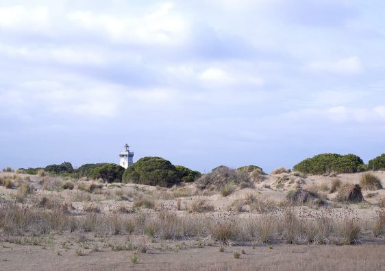 Camargue - Phare de l'Espiguette