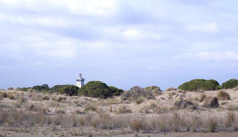 Camargue - Phare de l'Espiguette