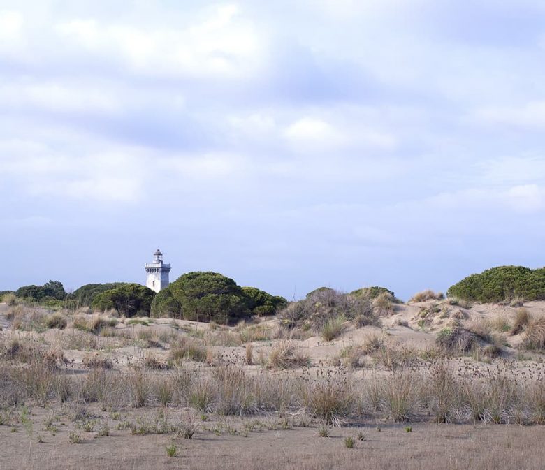 Camargue - Phare de l'Espiguette