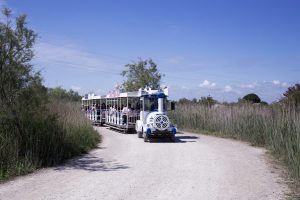 Camargue Salins de Aigues-Mortes
