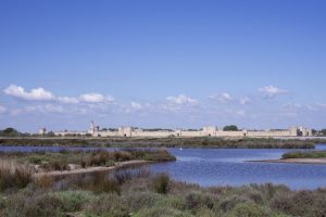 Camargue Salins de Aigues-Mortes
