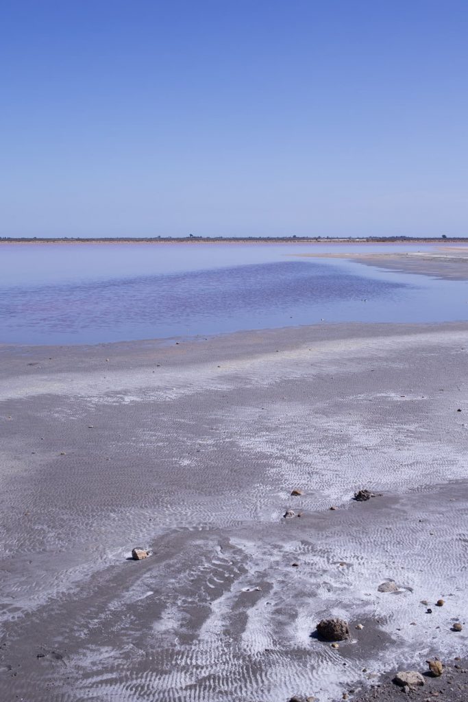 Camargue Salins de Aigues-Mortes