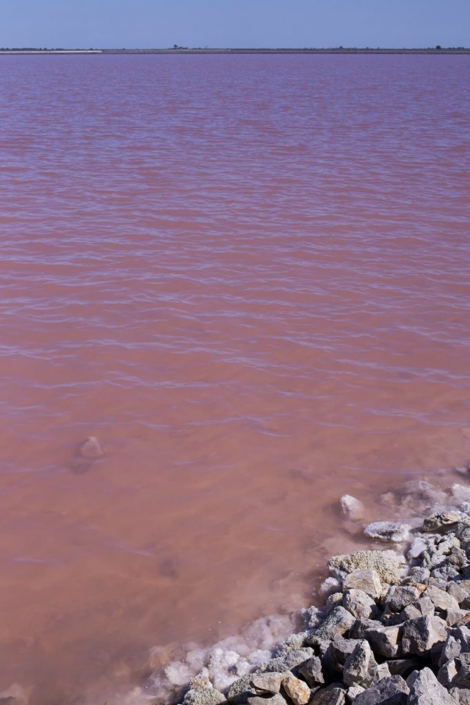 Camargue Salins de Aigues-Mortes