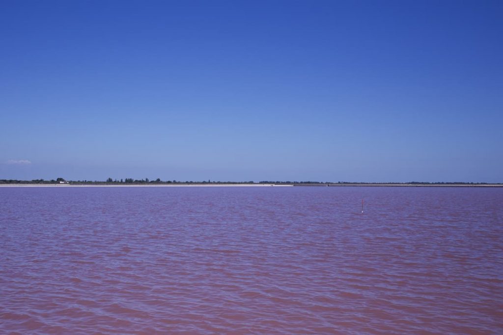 Camargue Salins de Aigues-Mortes