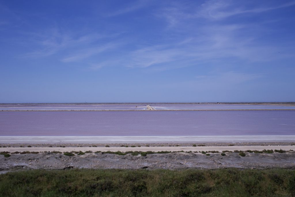 Salin-de-Giraud Camargue Camelle de sel