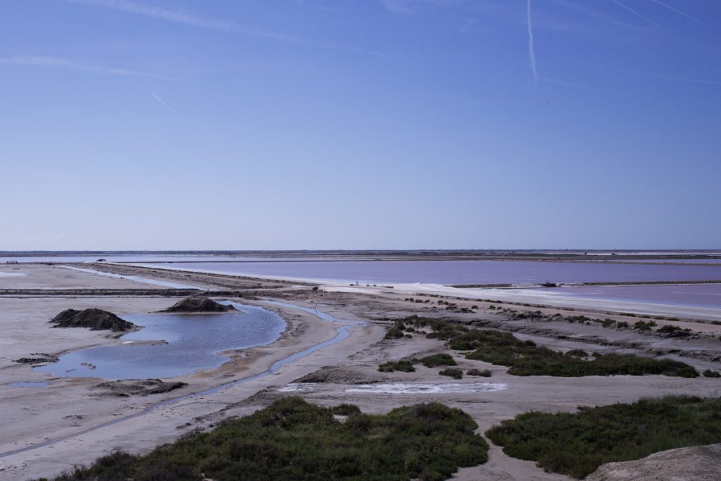 Salin-de-Giraud Camargue Camelle de sel