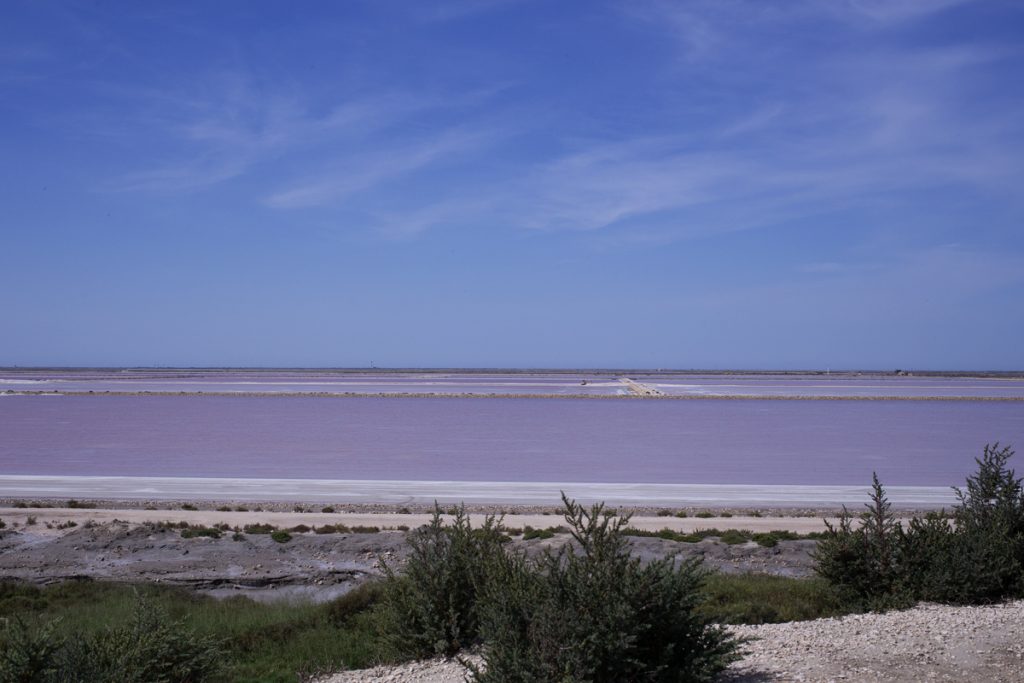 Salin-de-Giraud Camargue Camelle de sel