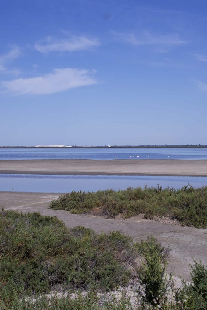 Salin-de-Giraud Camargue Camelle de sel