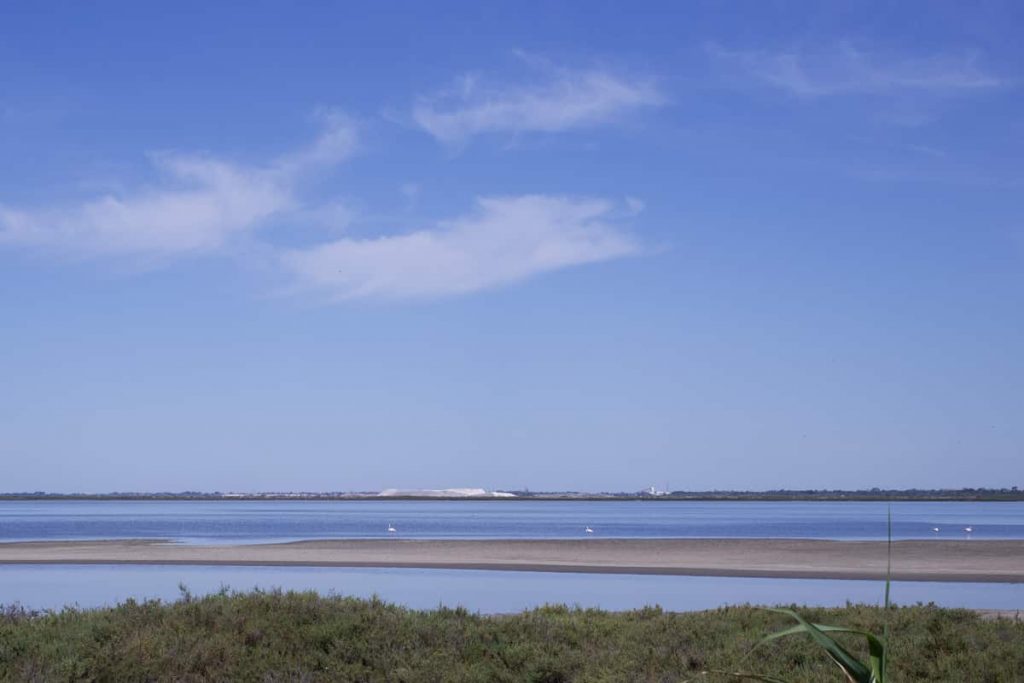 Salin-de-Giraud marais