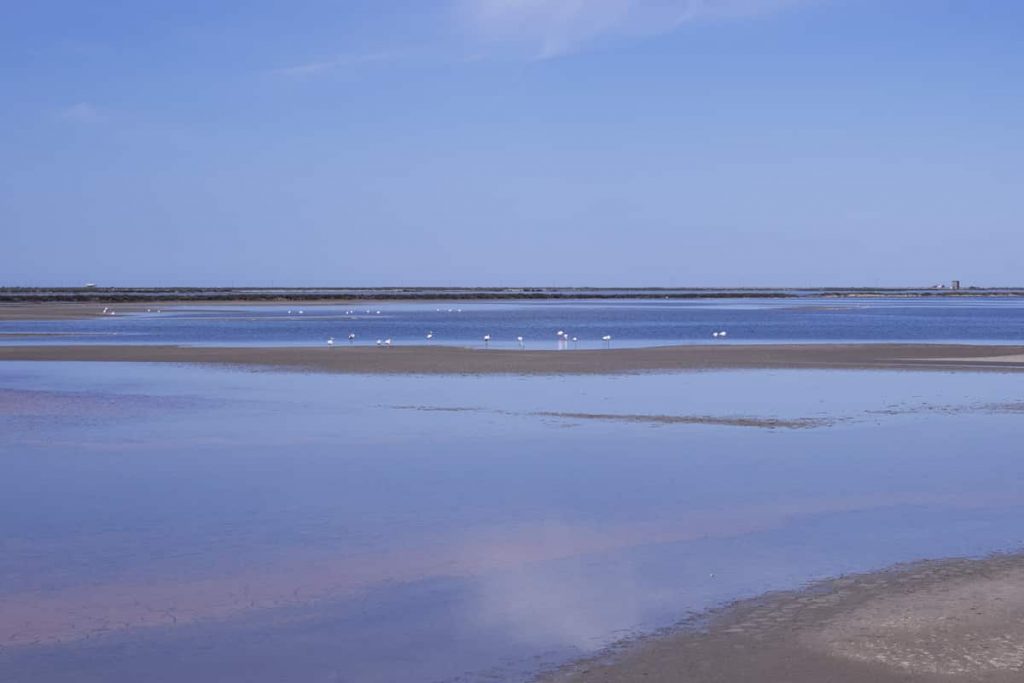 Salin-de-Giraud marais