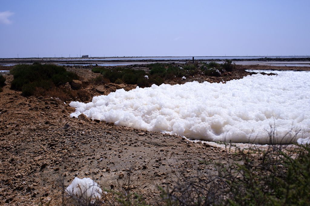 Salin-de-Giraud Camargue Marais salant