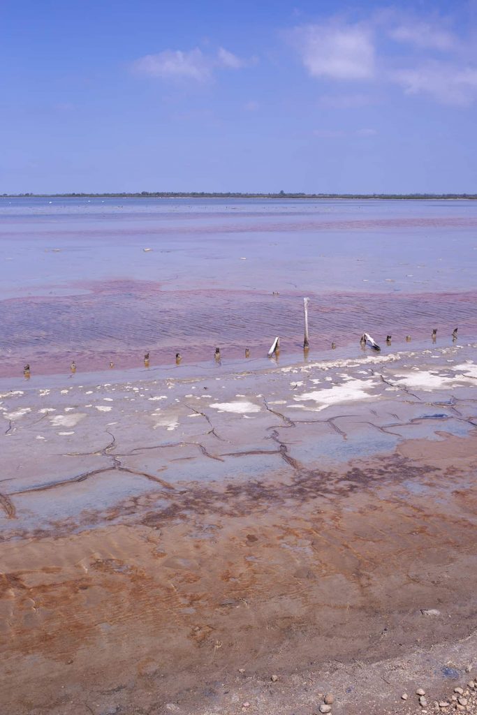 Salin-de-Giraud Camargue Marais salant